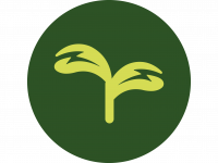 Catering Website_Website Banner-04