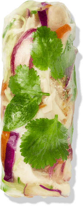Low Carb Poached Chicken Breast Soldiers®