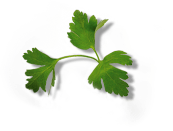 Parsley leaves
