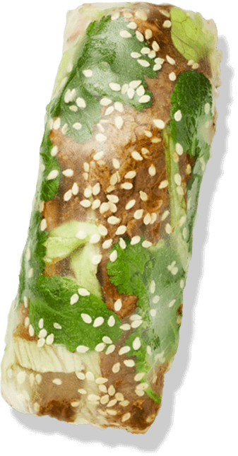 Roast Duck Soldiers®